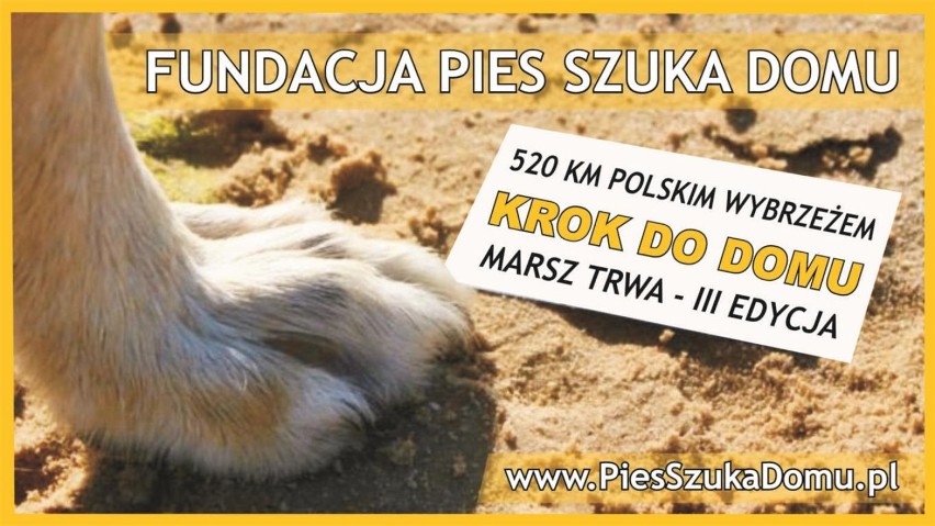 Marsz 520 km Polskim Wybrzeżem wystartował ze Świnoujścia
