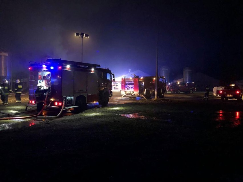 Pożar na terenie fermy drobiu w Szamocinie - nowe informacje (FOTO)