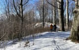 10 miejsc w okolicy Krosna, które warto odwiedzić zimą [ZDJĘCIA]