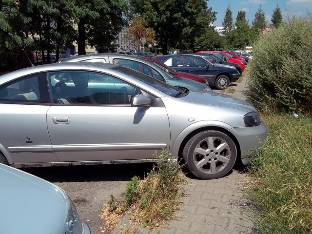 Ów MISZCZ musi mieć wielkie mniemanie o sobie, skoro tak lubi wychodzić przed szereg. Ulica Cieszyńska, nadesłał Internauta