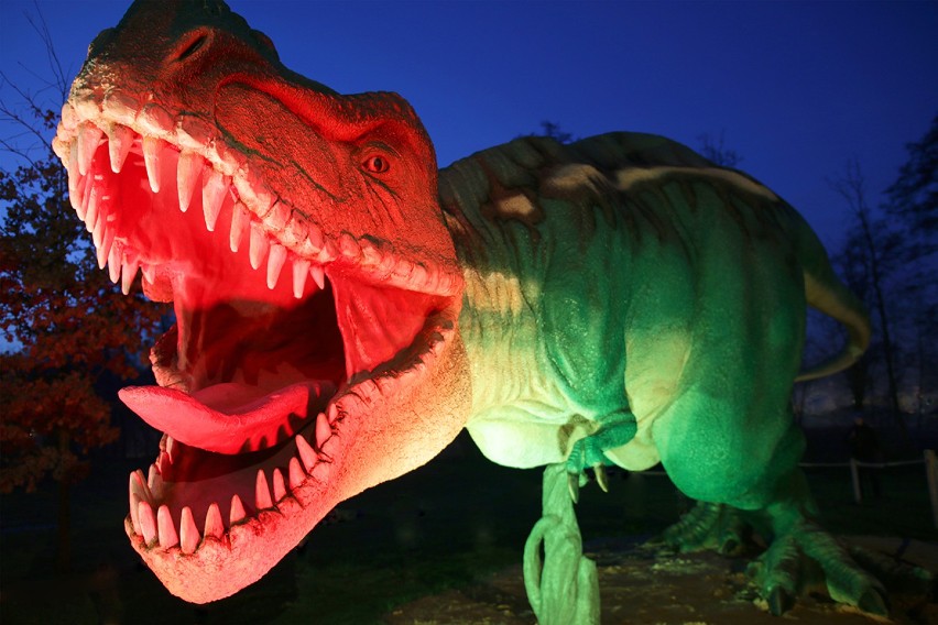 Noc Dinozaurów 2020 w Lubinie