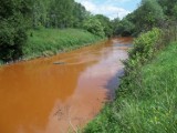 Zanieczyszczona Przemsza w Mysłowicach: W rzece płynęła pomarańczowa woda [ZDJĘCIA]
