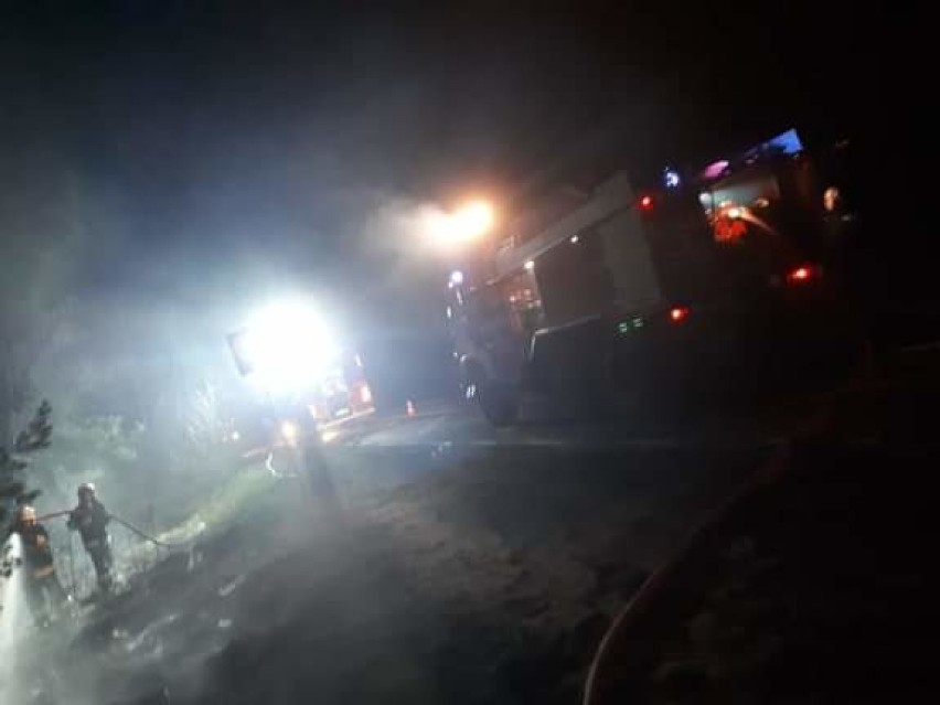 Pożar poszycia leśnego przy drodze wojewódzkiej 443 w gminie Gizałki