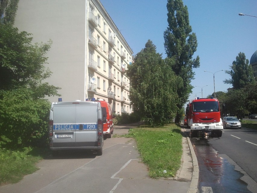 Pożar w bloku przy Uniwersyteckiej w Łodzi. Ranny mężczyzna [ZDJĘCIA]
