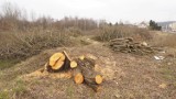 Przy ulicy Staszica w Koszalinie wycięto drzewa. Będzie budowany dom wielorodzinny