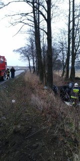 Wypadek przy ul. Kitowicza w Wolborzu. Opel wylądował w rowie