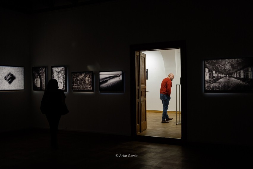 Fotografie Marka Kucharczyka w Tarnowskim Centrum Kultury. Jedną z jego pasji jest przyroda. Mamy zdjęcia z wernisażu