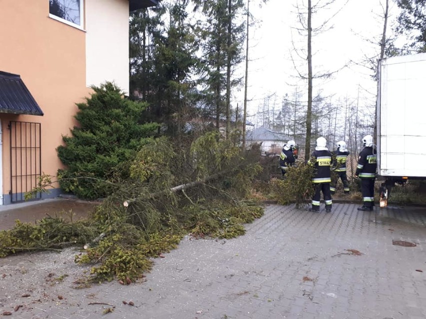 Strażacy Ochotnicy z Gdyni Wiczlina coraz częściej wyjeżdżają do interwencji. Dlatego też systematycznie podnoszą kwalifikacje ZDJĘCIA