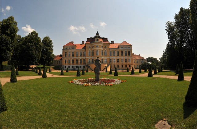 Strefa aktywizacji gospodarczej o powierzchni 130 ha ma zostać ulokowana w sąsiedztwie rogalińskiego parku, nieopodal pałacu i rogalińskich dębów, w miejscu, gdzie dziś ziemię uprawiają rolnicy. Władze gminy są zdania, że dzięki strefie region mógłby się rozwijać. Propozycja spotkała się jednak ze stanowczym sprzeciwem mieszkańców.