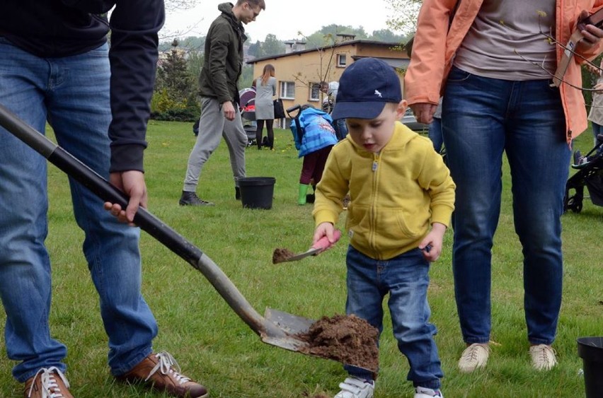 Skwer ojców w Jastrzębiu: posadzili drzewa dla dzieci