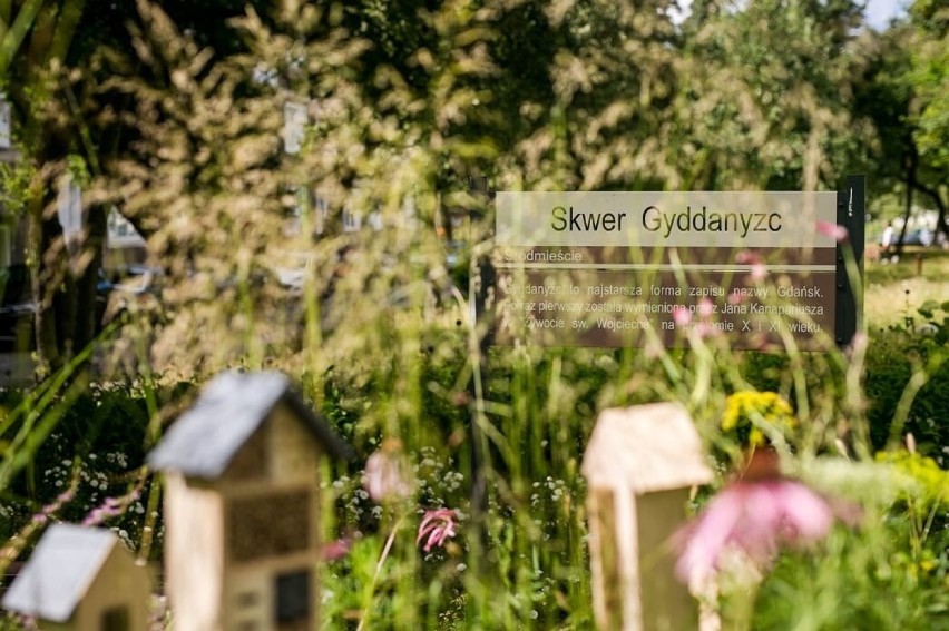 Gdańsk: Na Skwerze Gyddanyzc pojawiły się roślinne aranżacje. Są nawet domki dla owadów! Ale tu pięknie [ZDJĘCIA]