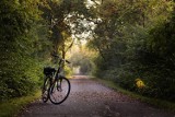 Nietrzeźwi rowerzyści w powiecie kwidzyńskim. Zostali ukarani wysokimi mandatami