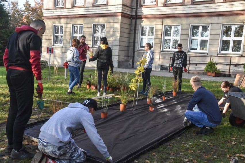 Szamotuły. Przy "Trójce" i "Rolniku" powstały jedyne w swoim rodzaju "Rabaty dla Klimatu" [ZDJĘCIA]