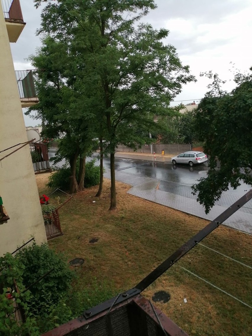Albo burze z gradem, albo lekki deszcz. Jak padało 1 lipca w Zduńskiej Woli i okolicy? Relacje i zdjęcia internautów