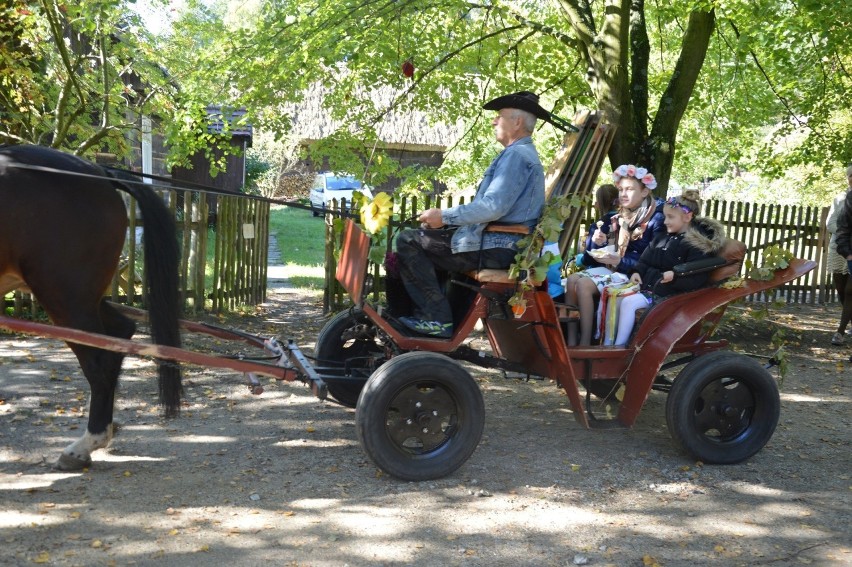 Winobranie w skansenie w Ochli