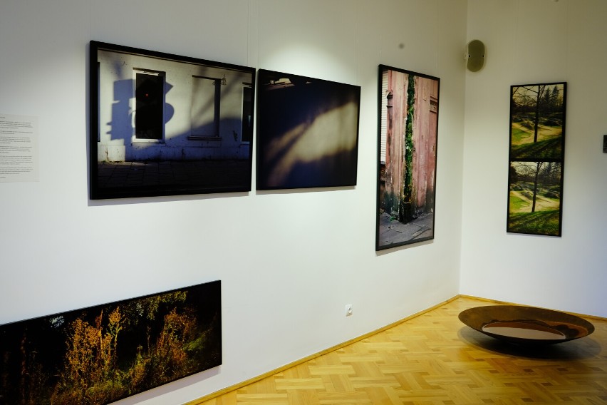 Wystawa fotografii „Spacer po lesie” Bartka Talagi w ramach Europejskiego Stadionu Kultury w Rzeszowie