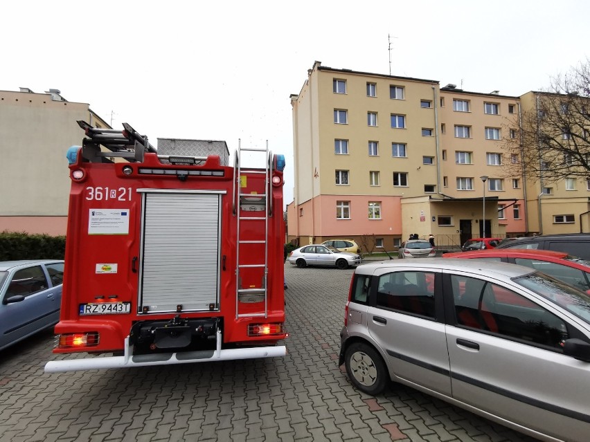 Alarm bombowy w Przedszkolu Miejskim nr 19 w Przemyślu. Ewakuowano 12 osób [ZDJĘCIA]