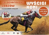 Łobzów. Jacek Soska organizuje wyścigi koni na ściernisku. Impreza już w tę niedzielę