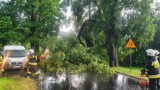 Burza w Wolborzu: połamane drzewa i konary w mieście i na terenie gminy