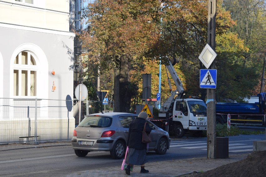 Stare topole znikają sprzed skierniewickiego starostwa [ZDJĘCIA]