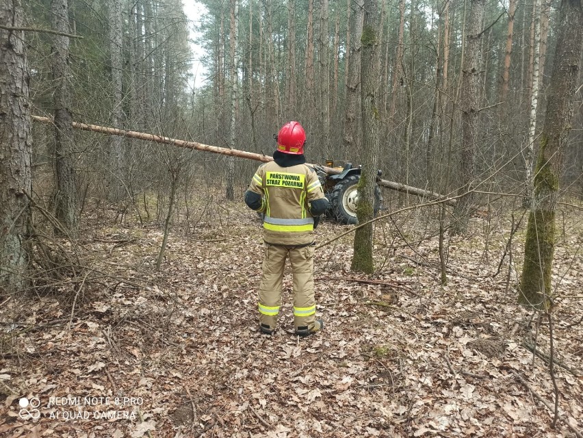 Wypadek w lesie w gminie Radomsko. Mężczyzna przygnieciony...