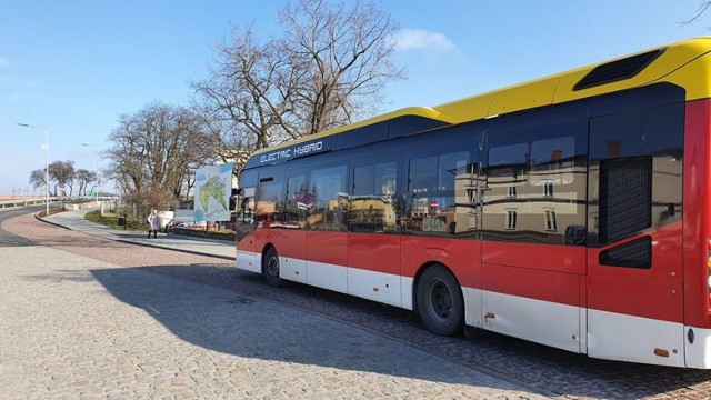 - Rozkład został dostosowany do zgłaszanych przez mieszkańców potrzeb oraz aktualnych potrzeb przewozowych, w tym do zmian czasów przejazdu i postojów na pętlach autobusowych - czytamy w komunikacie MPK Inowrocław