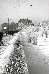 Zimowy Zamość w obiektywie Józefa Dudy. Zdjęcia wykonano ponad pół wieku temu