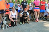 Parkrun Łódź 2 lipca. Bieg z czworonogami z okazji Dnia Psa [ZDJĘCIA, FILM, WYNIKI]