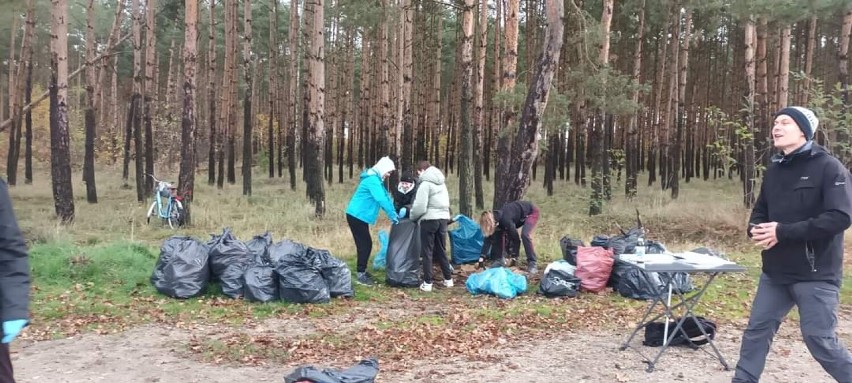 Akcja sprzątania lasu w Rokitkach