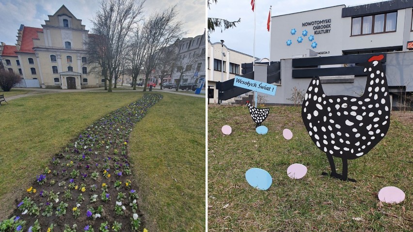 Nowy Tomyśl. W mieście pojawiły się wiosenne nasadzenia kwiatów. Czuć też klimat świąt!