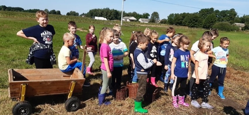 Drugoklasiści na wykopkach - pierwsza szkolna wycieczka uczniów SP 149 w Łodzi GALERIA ZDJĘĆ