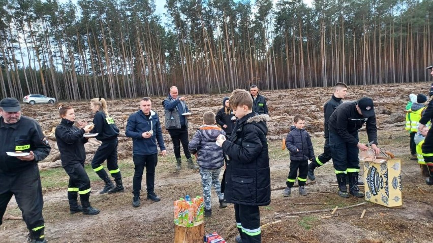 Strażacy z rodzinami zasadzili 3000 drzew niedaleko Głogowa