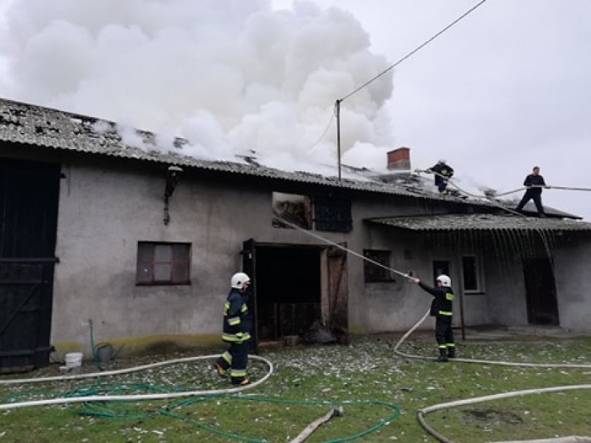 Duży pożar w Stoku Polskim! Ewakuowano 30 zwierząt