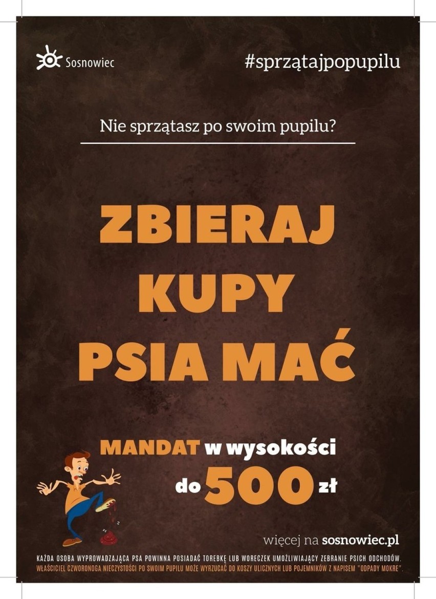 Mocna kampania w Sosnowcu: „Zbieraj kupy psia mać” [ZDJĘCIA, WIDEO]