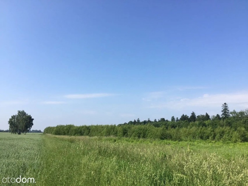 Działki budowlane Gałkówek-Parcela, powiat łódzki wschodni,...