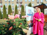 Rosarium im. Romana Jasińskiego w Pyskowicach oficjalnie otwarte! Zobaczcie nasze zdjęcia z różanej uroczystości