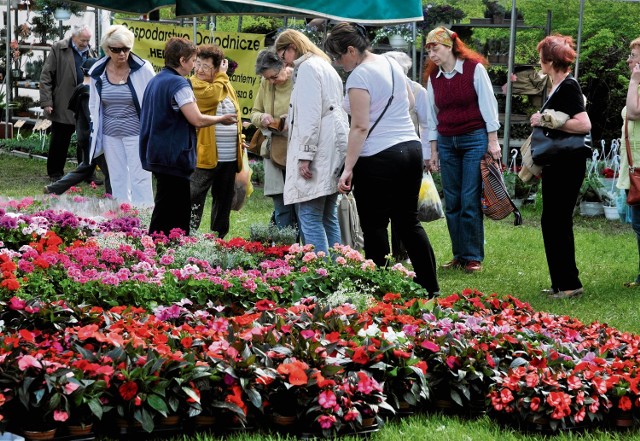 Ogród 2014 w Kolibkach. Targi ogrodnicze w Gdyni cieszą się ogromnym powodzeniem nie tylko wśród działkowców, ale także miłośników kwiatów
