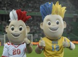 Posiedzenie w Rzeszowie Zespołu ds. EURO 2012