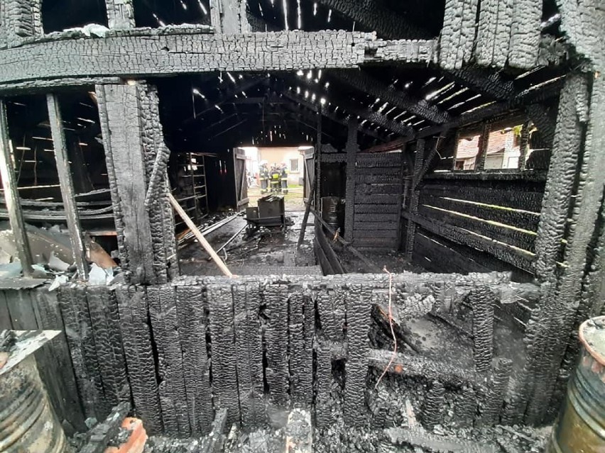 Pożar w Raszkowie przy ul. Pleszewskiej. Spłonęła drewniana altana
