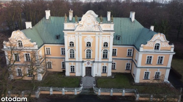 Marzy ci się własny pałac? Możesz stać się właścicielem posiadłości wybudowanej dla Emilii Szczanieckiej. Przedstawiamy pałace, które są do kupienia w Wielkopolsce. Jak wyglądają i ile trzeba za nie zapłacić? Sprawdź w galerii --->

Link do oferty: otodom.pl