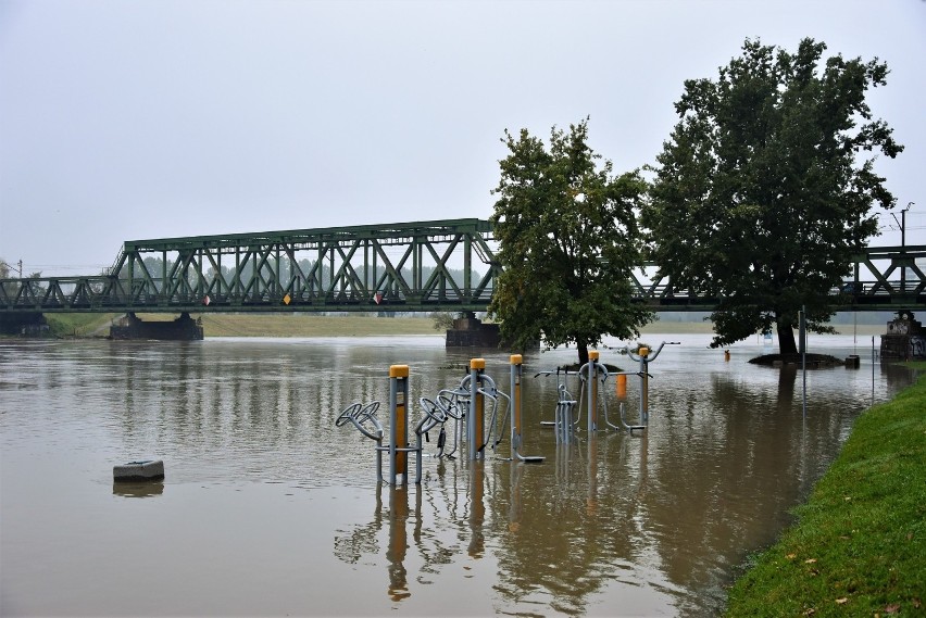 Odra w Opolu blisko stanu alarmowego. Wody rzeki zalały...