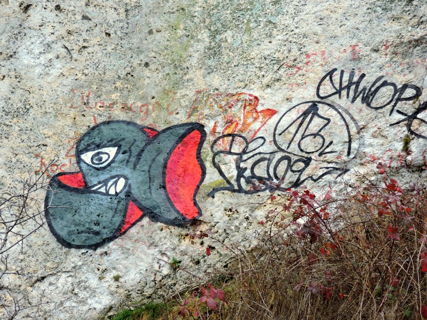 Skały w Niegowonicach już bez graffiti [FOTO]