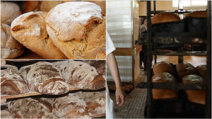 Gdzie w Tarnowie chleb smakuje najlepiej? TOP 9 piekarni w...