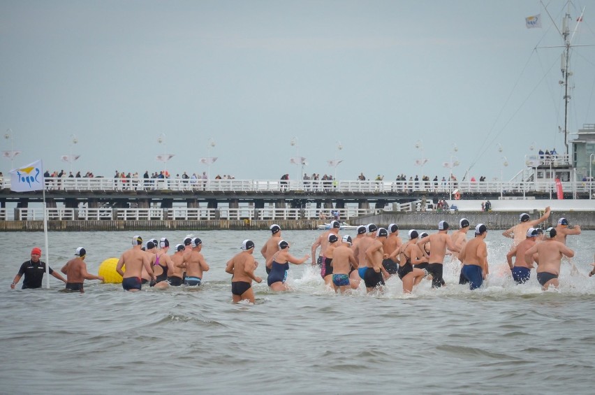 Pierwszy z trzech wyścigów pływackich w Sopocie za nami....