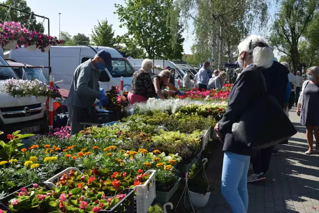 Ryneczek na osiedlu Dobrzec w sobotę znów tętnił życiem