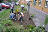 Kwidzyńska Akademia Młodzieżowych Liderów Ekologicznych. Projekt nr 1 - ZSG: "Mur ze snu"