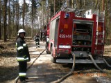 Kłobuck: Strażacy ćwiczyli na terenie Nadleśnictwa Kłobuck [ZDJĘCIA]