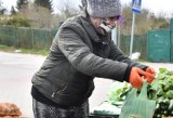 Malbork. Opłata targowa wzrośnie od stycznia? Burmistrz przedstawił propozycję podwyżki. Radni podejmą decyzję w przyszłym tygodniu