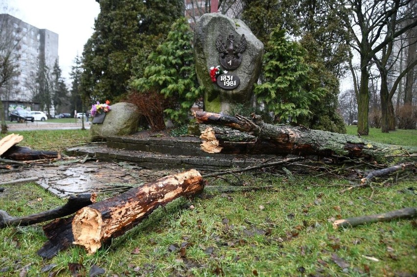 Spróchniałe drzewo runęło na pomnik powstańców listopadowych...