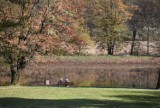 Kolorowa jesień w Parku w Kąśnej Dolnej. Idealne miejsce na rodzinny spacer niedaleko Tarnowa [ZDJĘCIA]